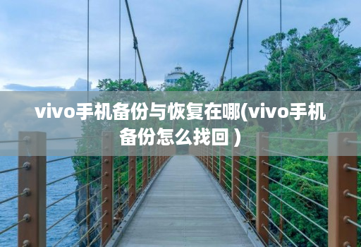 vivo手机备份与恢复在哪(vivo手机备份怎么找回 )