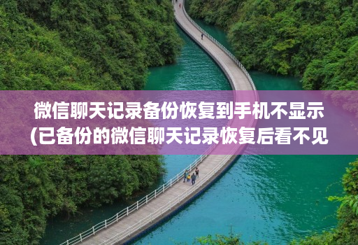 微信聊天记录备份恢复到手机不显示(已备份的微信聊天记录恢复后看不见 )