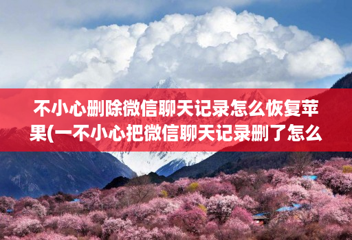 不小心删除微信聊天记录怎么恢复苹果(一不小心把微信聊天记录删了怎么办苹果手机 )