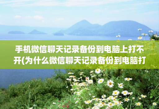 手机微信聊天记录备份到电脑上打不开(为什么微信聊天记录备份到电脑打不开 )