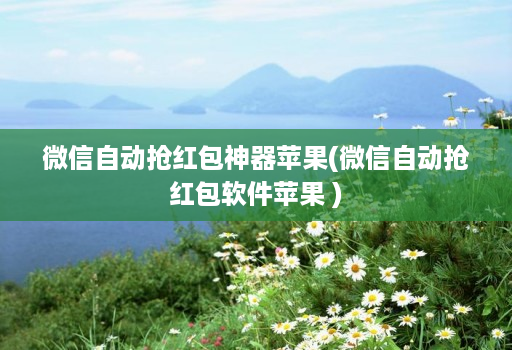 微信自动抢荭包神器苹果(微信自动抢荭包软件苹果 )