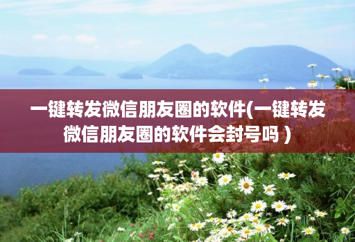 一键转发微信朋友圈的软件(一键转发微信朋友圈的软件会不会吗 )