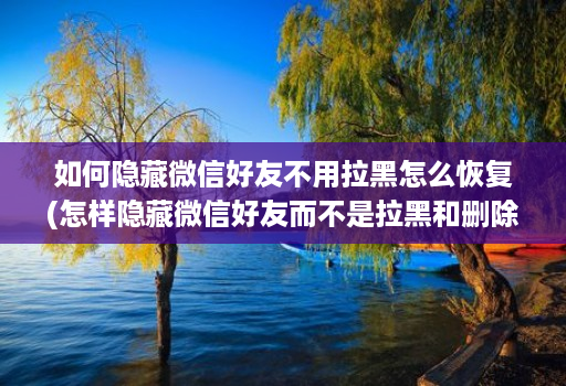 如何隐藏微信好友不用拉黑怎么恢复(怎样隐藏微信好友而不是拉黑和删除 )