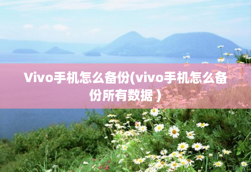 vivo手机怎么备份(vivo手机怎么备份所有数据 )