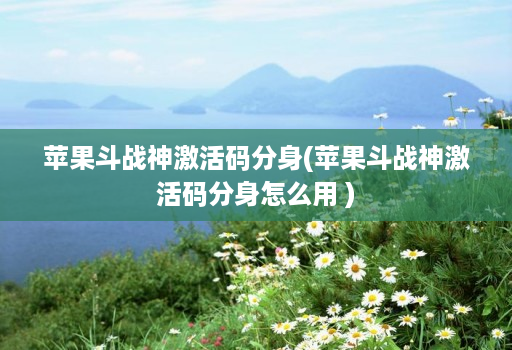 苹果斗战神激活码分身(苹果斗战神激活码分身怎么用 )