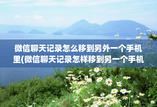 微信聊天记录怎么移到另外一个手机里(微信聊天记录怎样移到另一个手机上 )