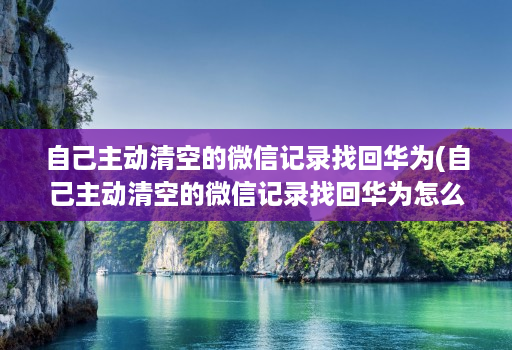 自己主动清空的微信记录找回华为(自己主动清空的微信记录找回华为怎么恢复 )