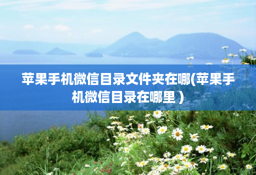 苹果手机微信目录文件夹在哪(苹果手机微信目录在哪里 )