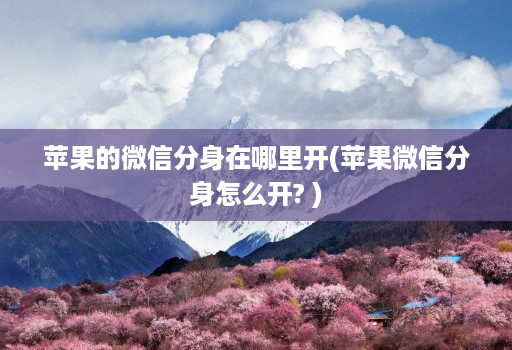 苹果的微信分身在哪里开(苹果微信分身怎么开? )