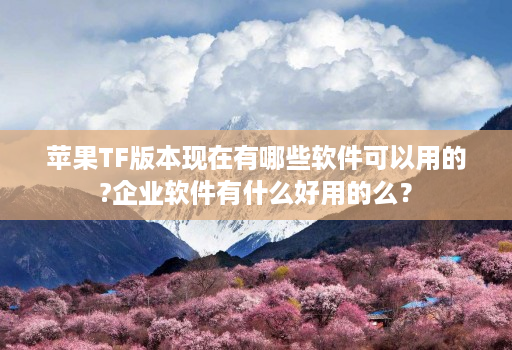 苹果tf版本现在有哪些软件可以用的?企业软件有什么好用的么？