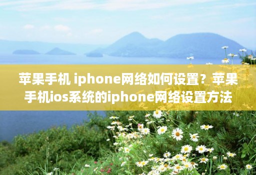 苹果手机 iphone网络如何设置？苹果手机ios系统的iphone网络设置方法【图文教程】