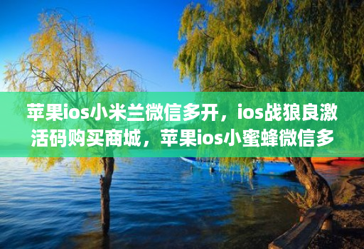 苹果ios小米兰微信多开，ios战狼良激活码购买商城，苹果ios小蜜蜂微信多开