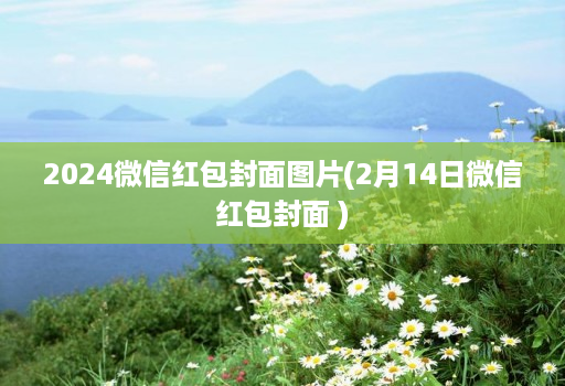 2024微信红包封面图片(2月14日微信红包封面 )