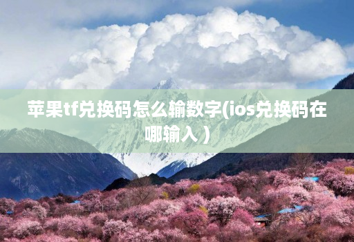 苹果tf兑换码怎么输数字(ios兑换码在哪输入 )