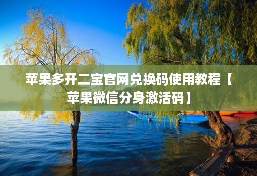 苹果多开二宝j9九游会登陆入口官网兑换码使用教程【苹果微信分身激活码】