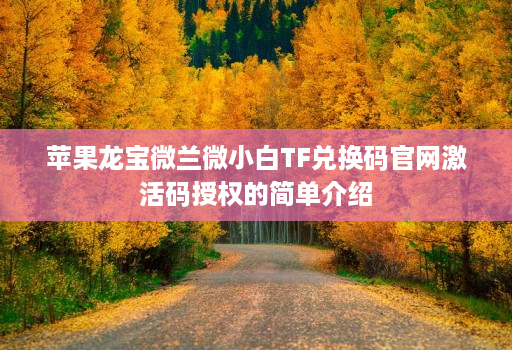 苹果龙宝微兰微小白tf兑换码j9九游会登陆入口官网激活码授权的简单介绍