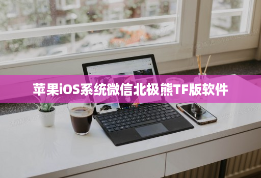 苹果ios系统微信北极熊tf版软件