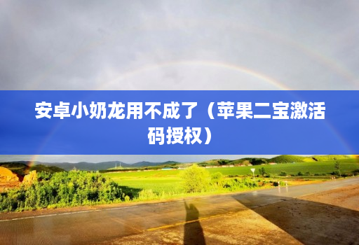 <strong>安卓</strong>小奶龙用不成了（苹果二宝激活码授权）