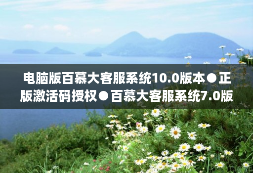 电脑版百慕大客服系统10.0版本●正版激活码授权●百慕大客服系统7.0版本使用教程