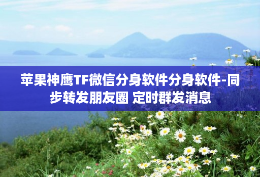 <strong>苹果</strong>神鹰tf微信分身软件分身软件-同步转发朋友圈 定时群发消息