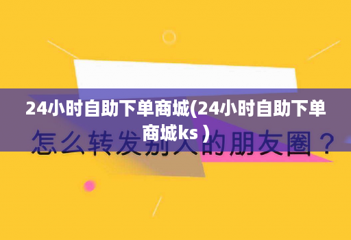 24小时自助下单商城(24小时自助下单商城ks )