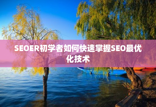 seoer初学者如何快速掌握seo最优化技术